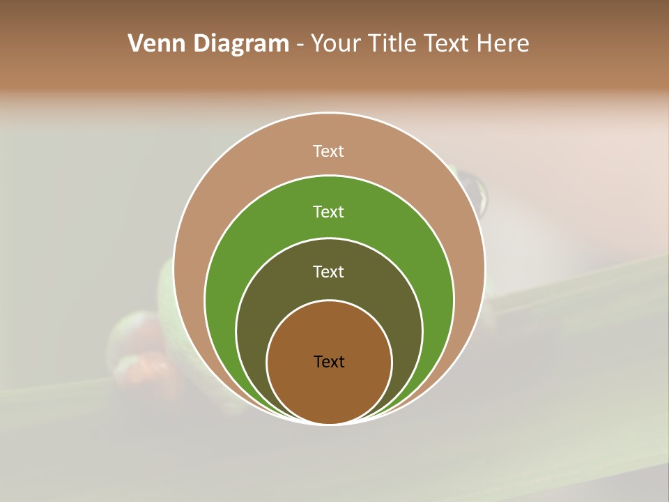 Closeup Moreletii Ecofriendly PowerPoint Template