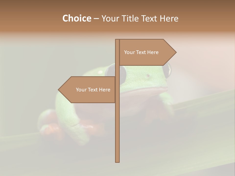 Closeup Moreletii Ecofriendly PowerPoint Template