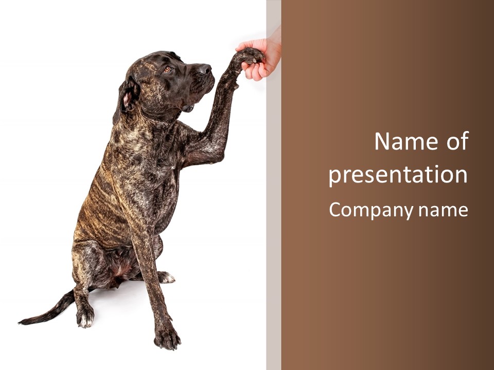 Watchdog Giant Enormous PowerPoint Template