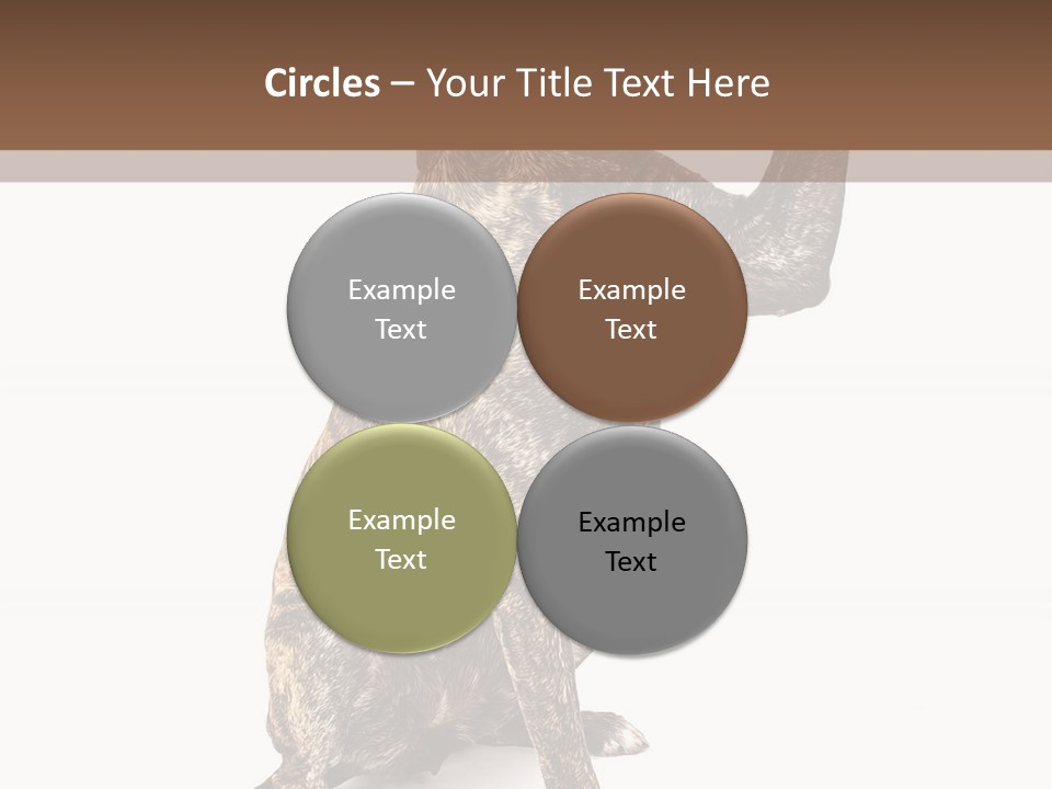 Watchdog Giant Enormous PowerPoint Template