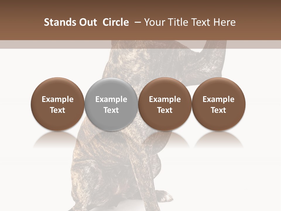 Watchdog Giant Enormous PowerPoint Template