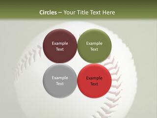 Closeup Macro Strikeout PowerPoint Template