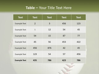 Closeup Macro Strikeout PowerPoint Template