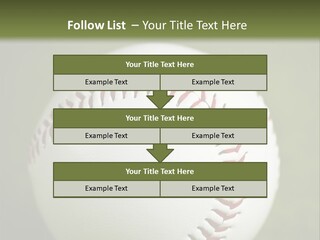 Closeup Macro Strikeout PowerPoint Template