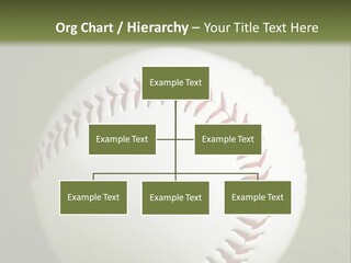 Closeup Macro Strikeout PowerPoint Template