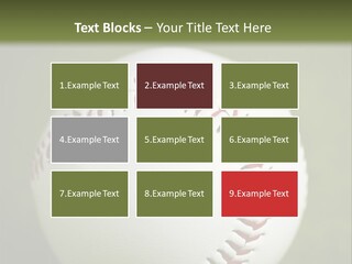 Closeup Macro Strikeout PowerPoint Template
