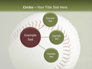 Closeup Macro Strikeout PowerPoint Template