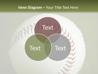 Closeup Macro Strikeout PowerPoint Template