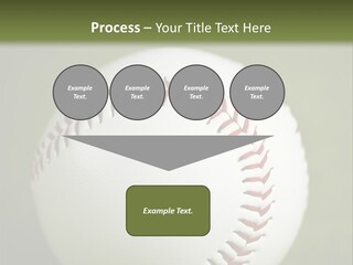 Closeup Macro Strikeout PowerPoint Template