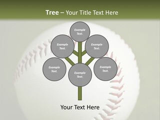 Closeup Macro Strikeout PowerPoint Template