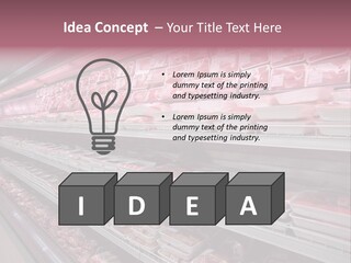 Row Display Cool PowerPoint Template