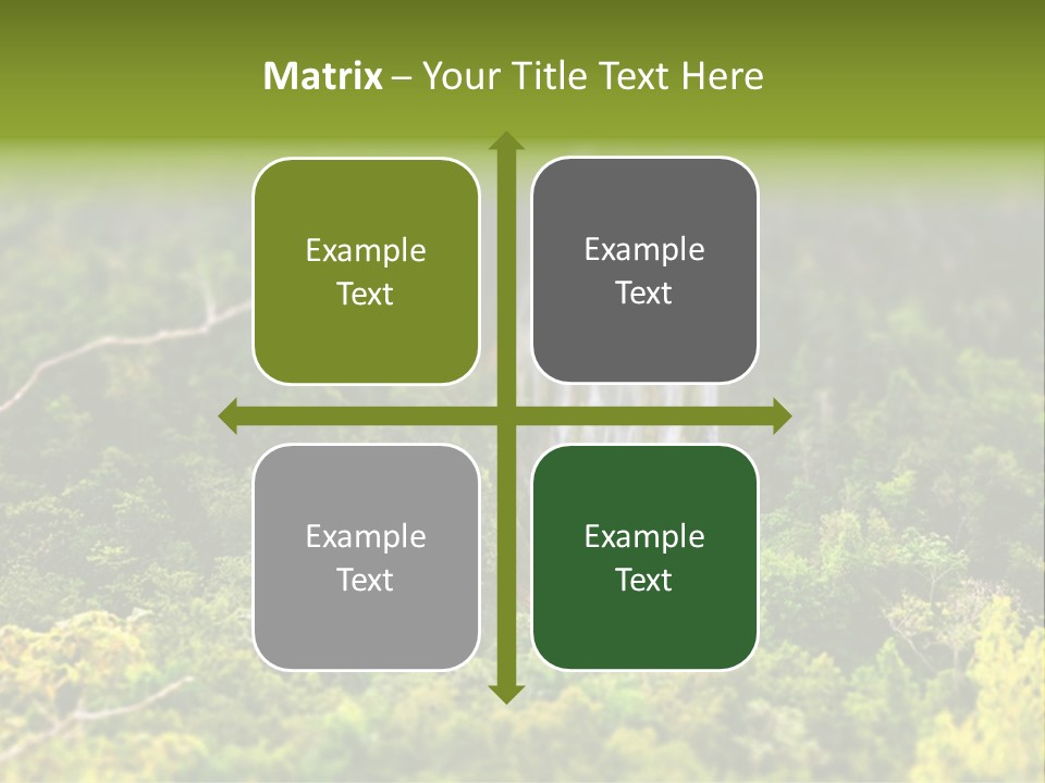 Landscape Rainforest Tropical PowerPoint Template