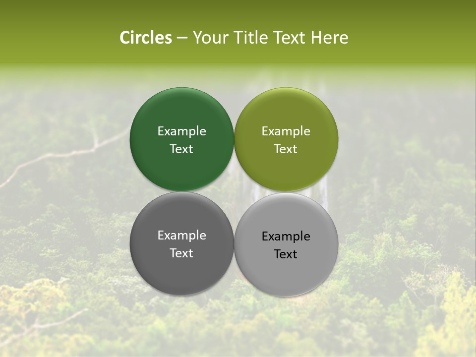 Landscape Rainforest Tropical PowerPoint Template