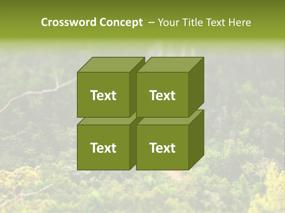 Landscape Rainforest Tropical PowerPoint Template