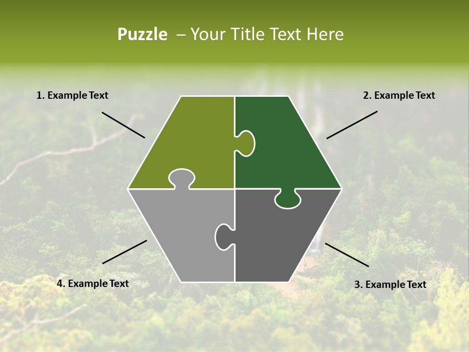 Landscape Rainforest Tropical PowerPoint Template