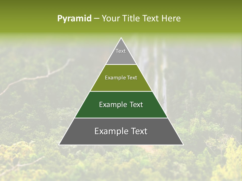 Landscape Rainforest Tropical PowerPoint Template