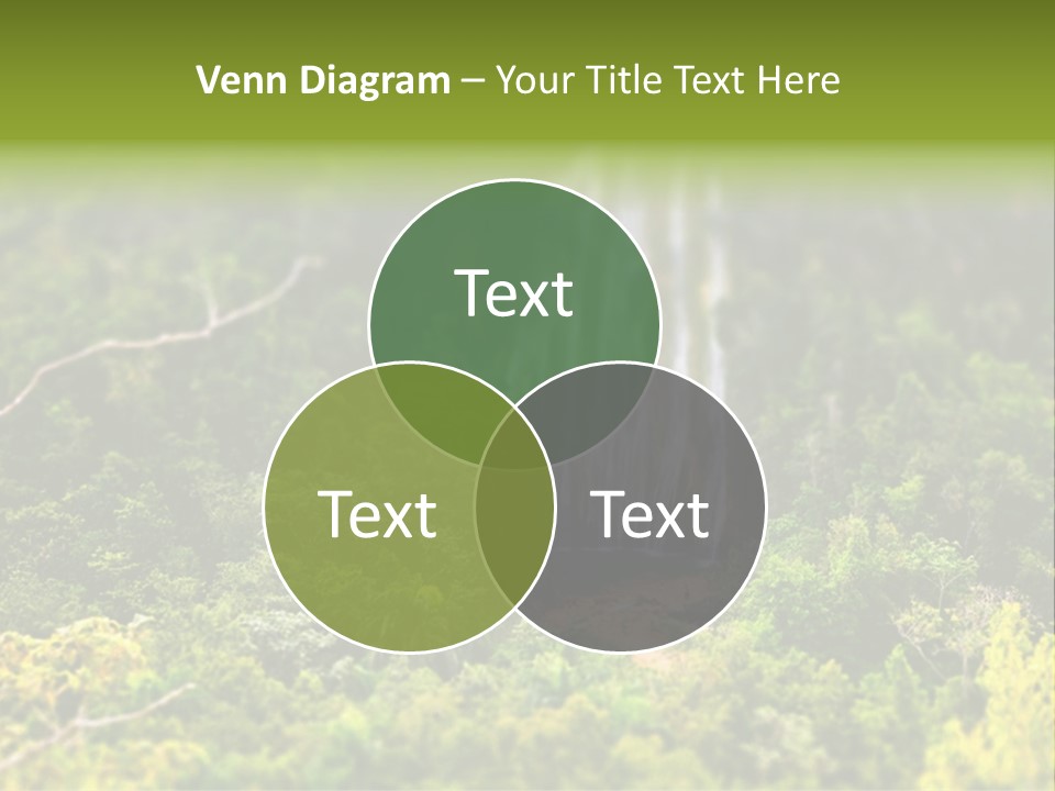 Landscape Rainforest Tropical PowerPoint Template