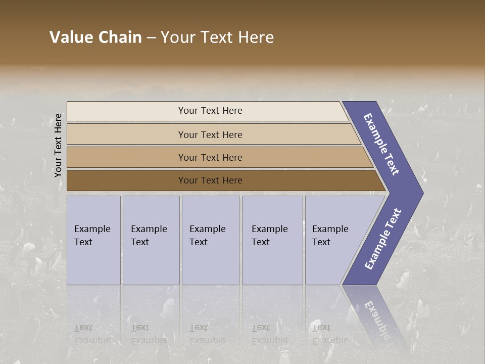 Colony Penguin Argentina PowerPoint Template