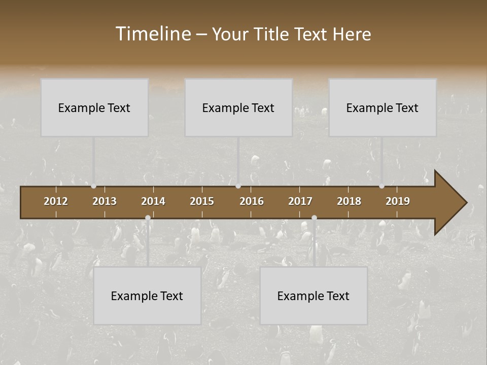 Colony Penguin Argentina PowerPoint Template