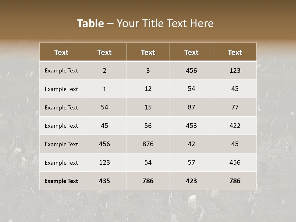 Colony Penguin Argentina PowerPoint Template