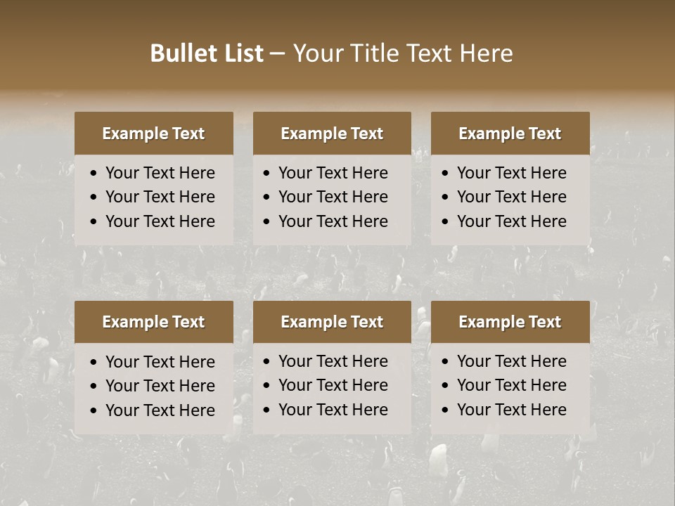 Colony Penguin Argentina PowerPoint Template