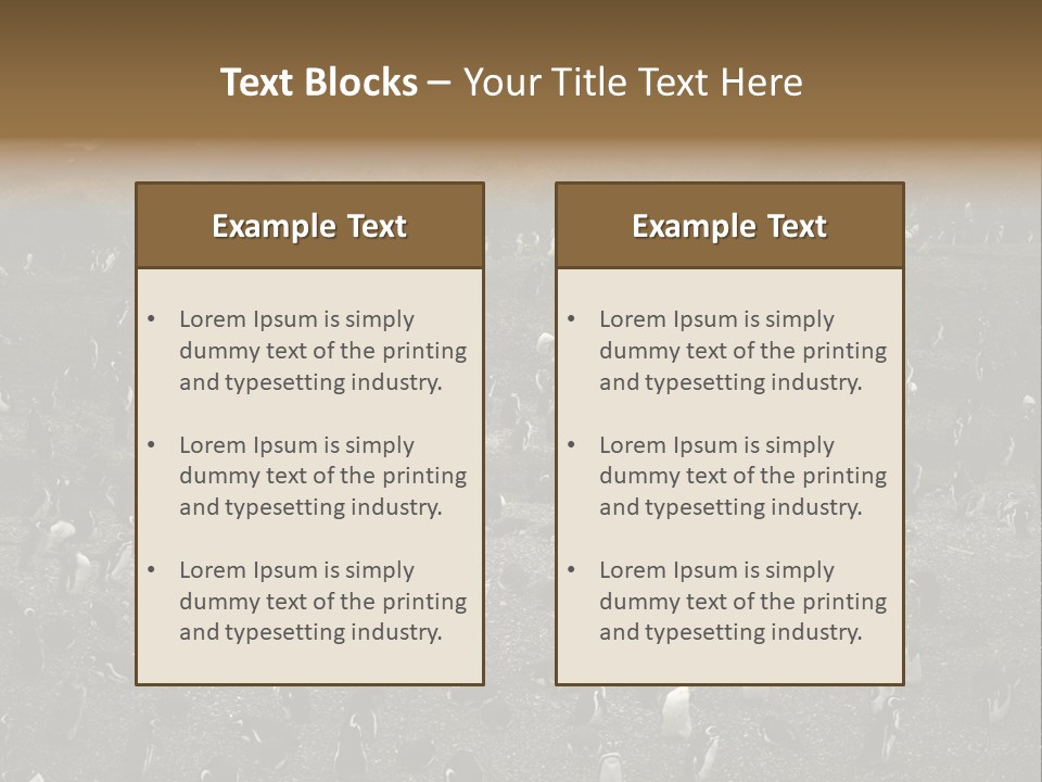 Colony Penguin Argentina PowerPoint Template