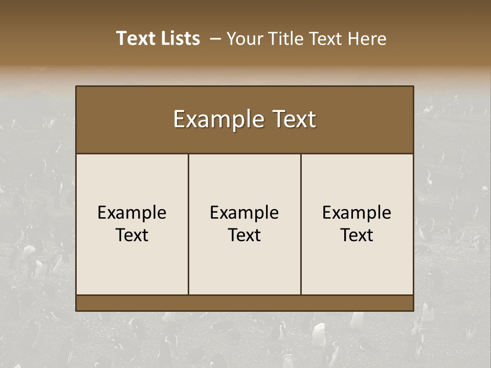 Colony Penguin Argentina PowerPoint Template