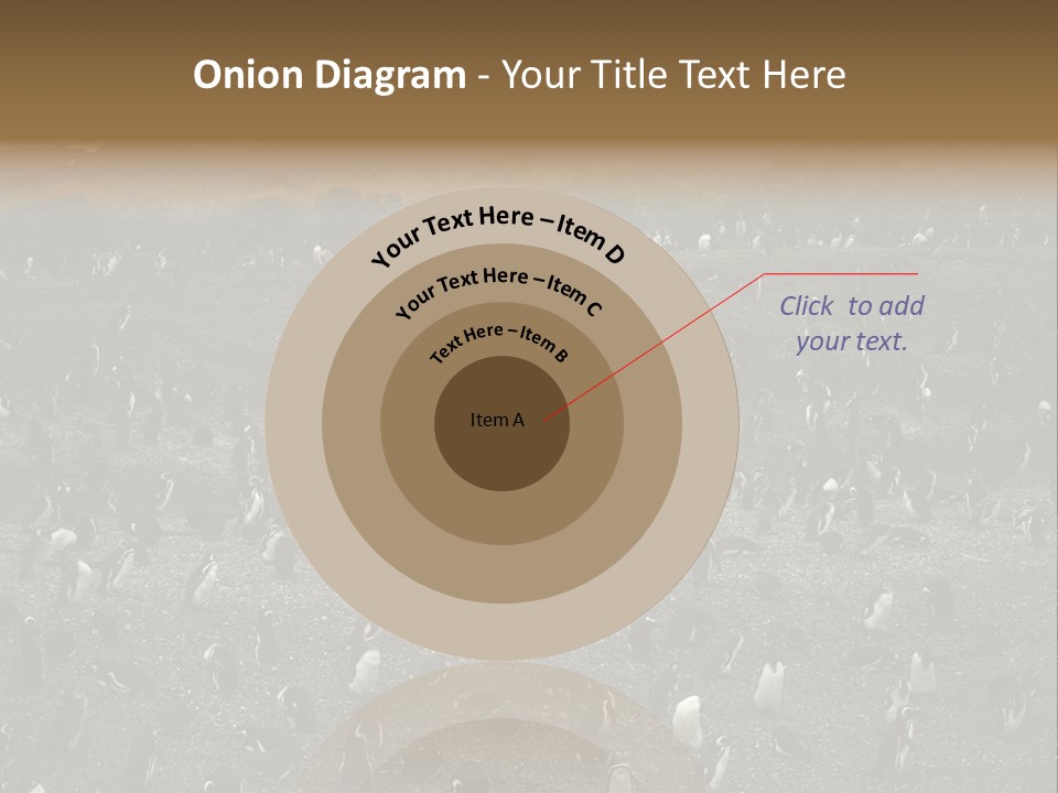 Colony Penguin Argentina PowerPoint Template