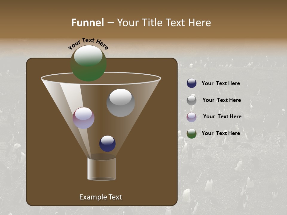 Colony Penguin Argentina PowerPoint Template