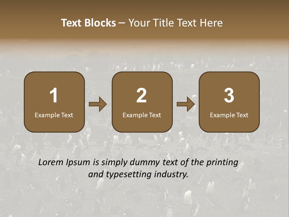 Colony Penguin Argentina PowerPoint Template