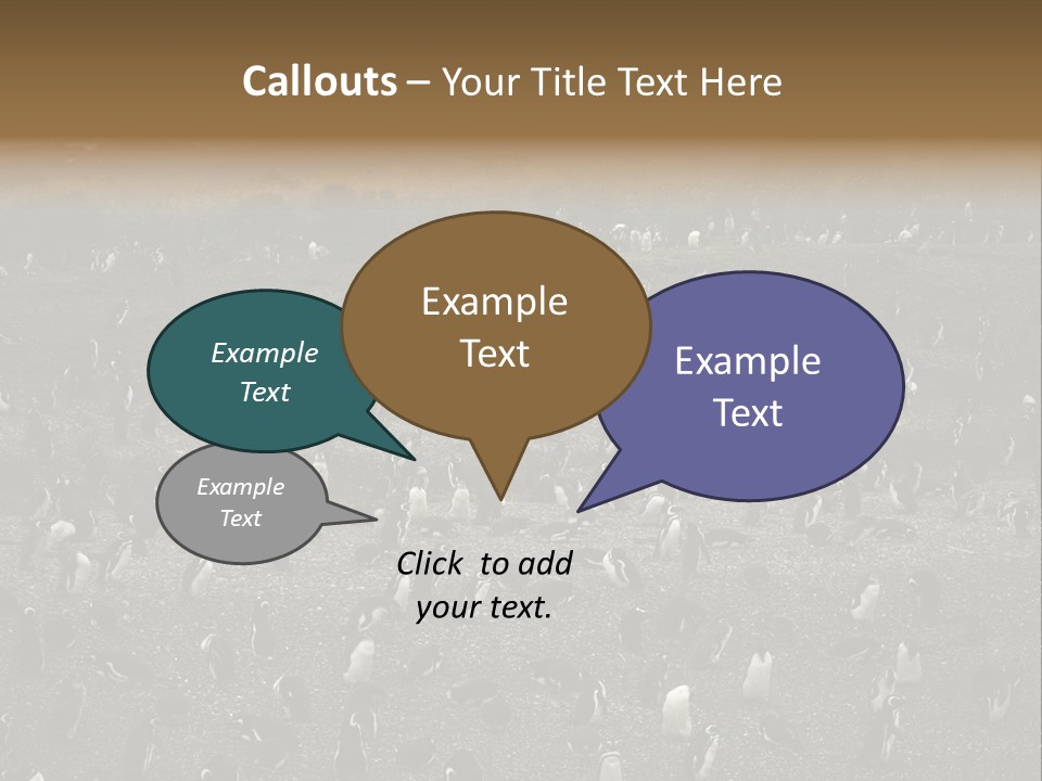 Colony Penguin Argentina PowerPoint Template