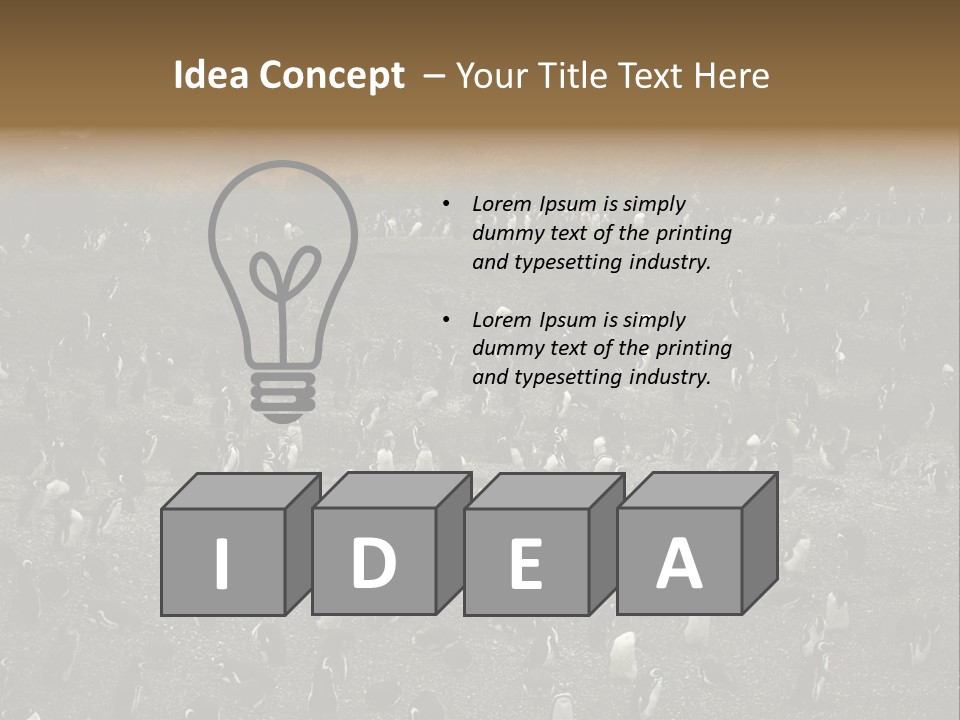 Colony Penguin Argentina PowerPoint Template