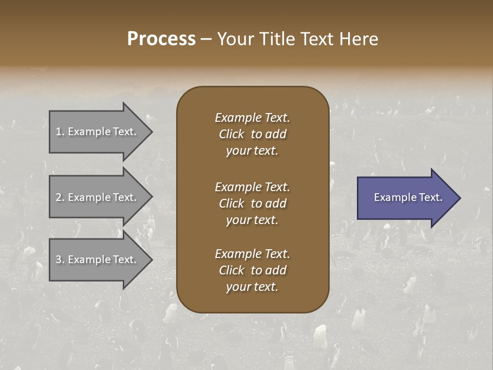 Colony Penguin Argentina PowerPoint Template