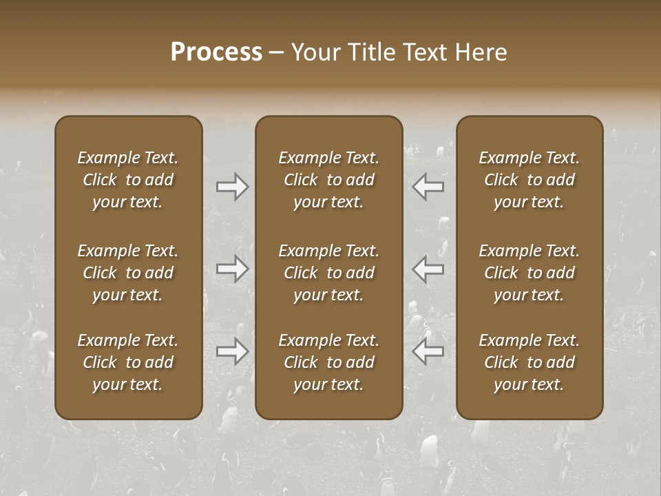 Colony Penguin Argentina PowerPoint Template