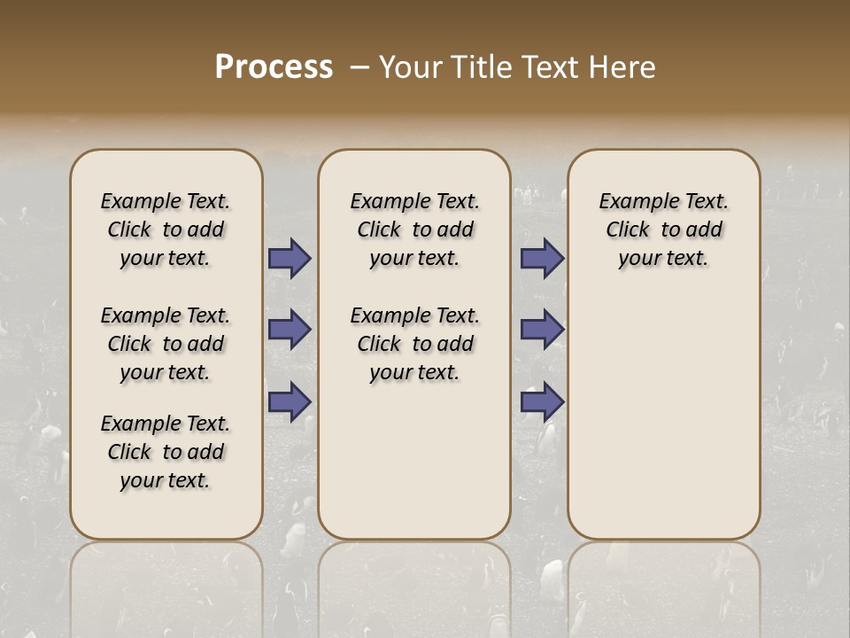 Colony Penguin Argentina PowerPoint Template