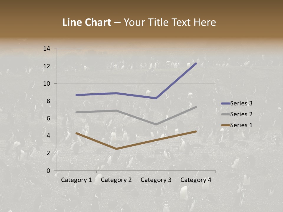 Colony Penguin Argentina PowerPoint Template