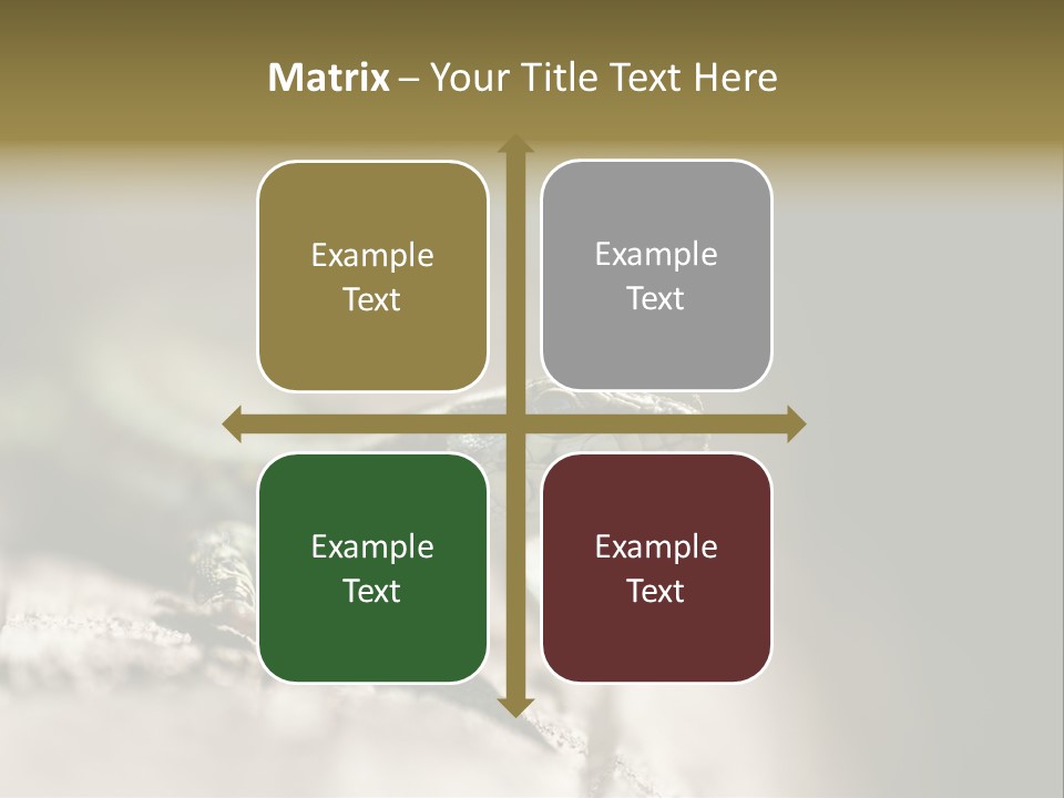 Animal Little Conceal PowerPoint Template