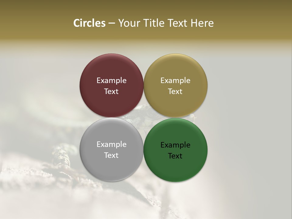 Animal Little Conceal PowerPoint Template