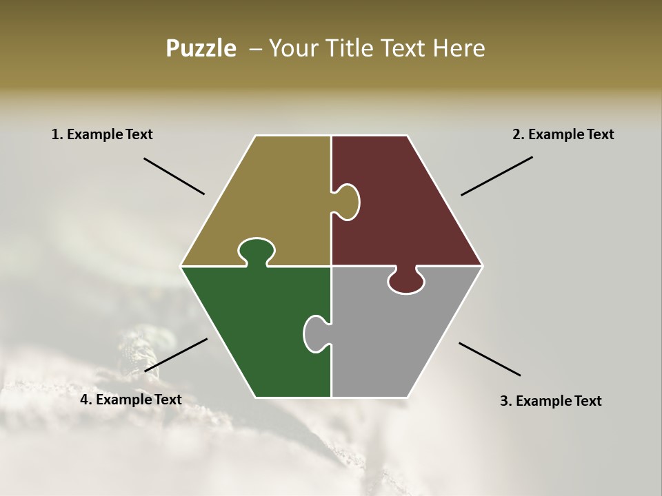 Animal Little Conceal PowerPoint Template