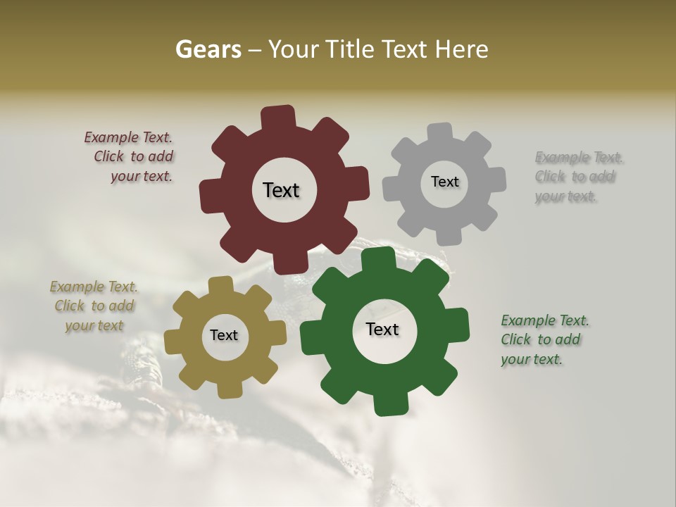 Animal Little Conceal PowerPoint Template