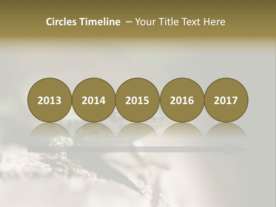 Animal Little Conceal PowerPoint Template