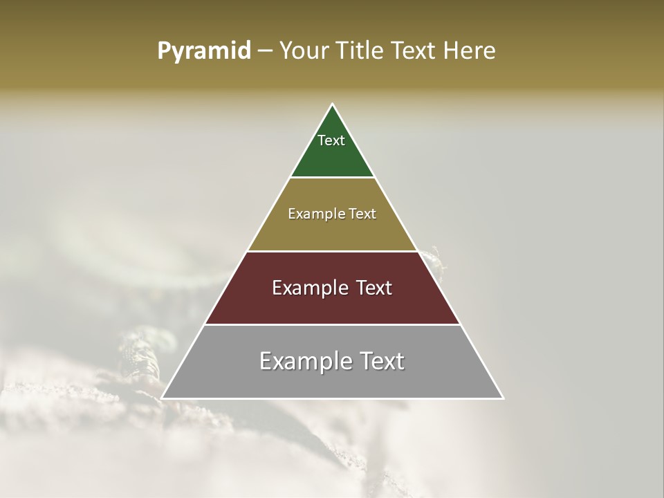 Animal Little Conceal PowerPoint Template