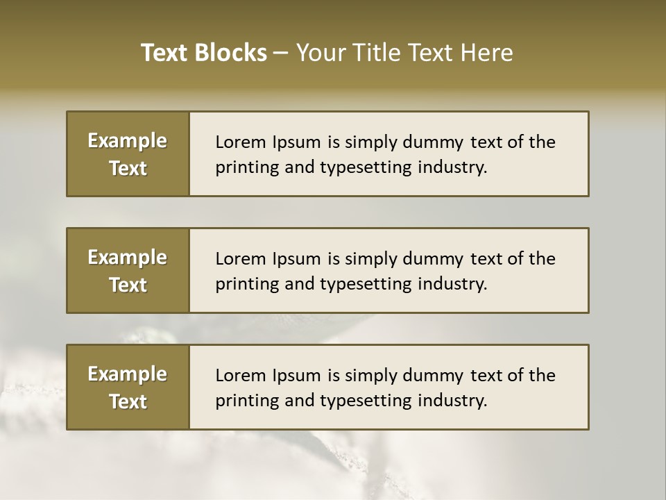 Animal Little Conceal PowerPoint Template