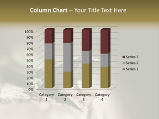 Animal Little Conceal PowerPoint Template