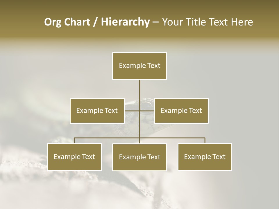 Animal Little Conceal PowerPoint Template