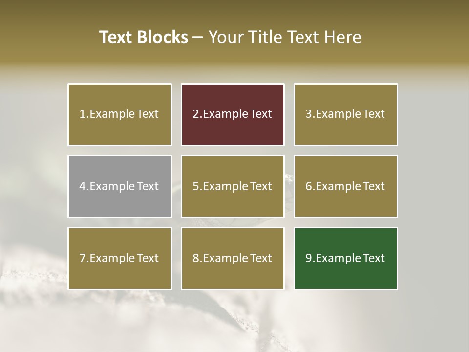 Animal Little Conceal PowerPoint Template