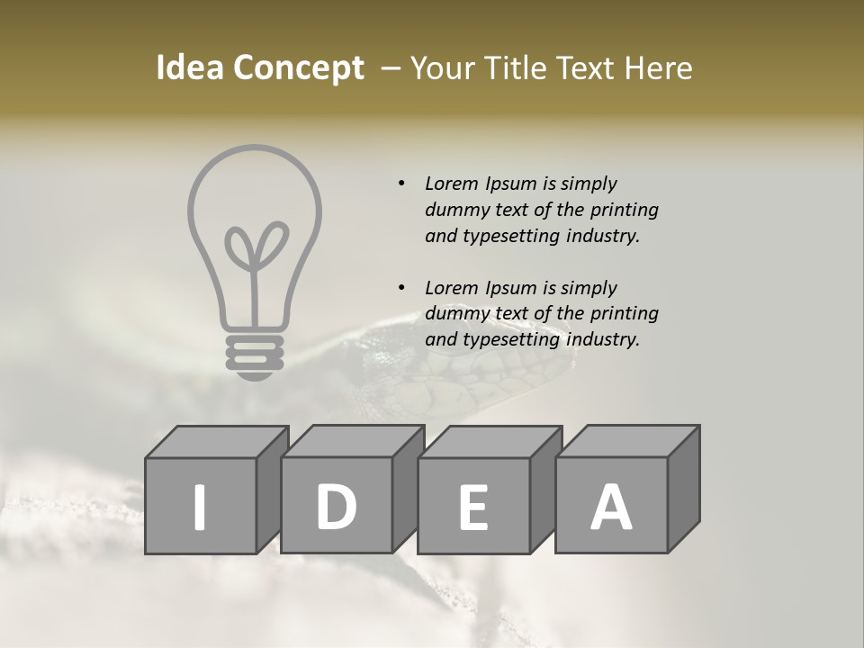 Animal Little Conceal PowerPoint Template