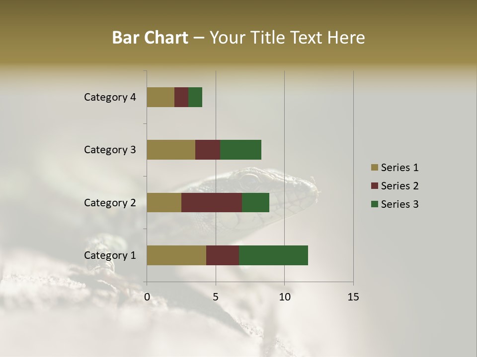 Animal Little Conceal PowerPoint Template