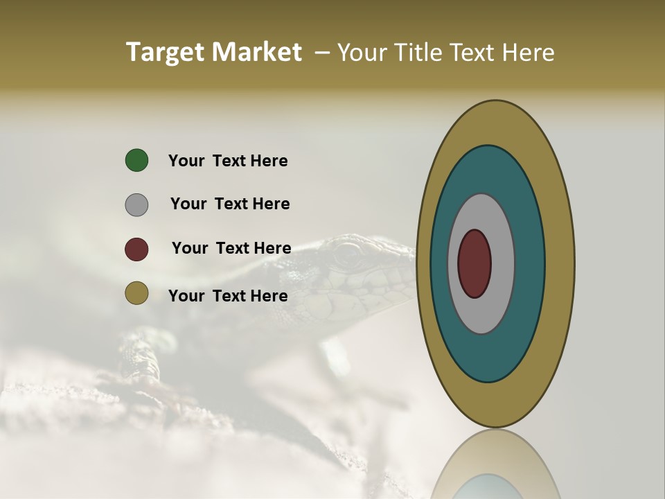 Animal Little Conceal PowerPoint Template