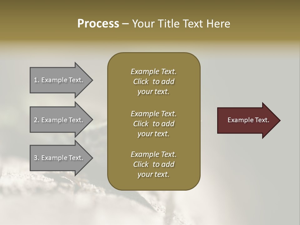 Animal Little Conceal PowerPoint Template